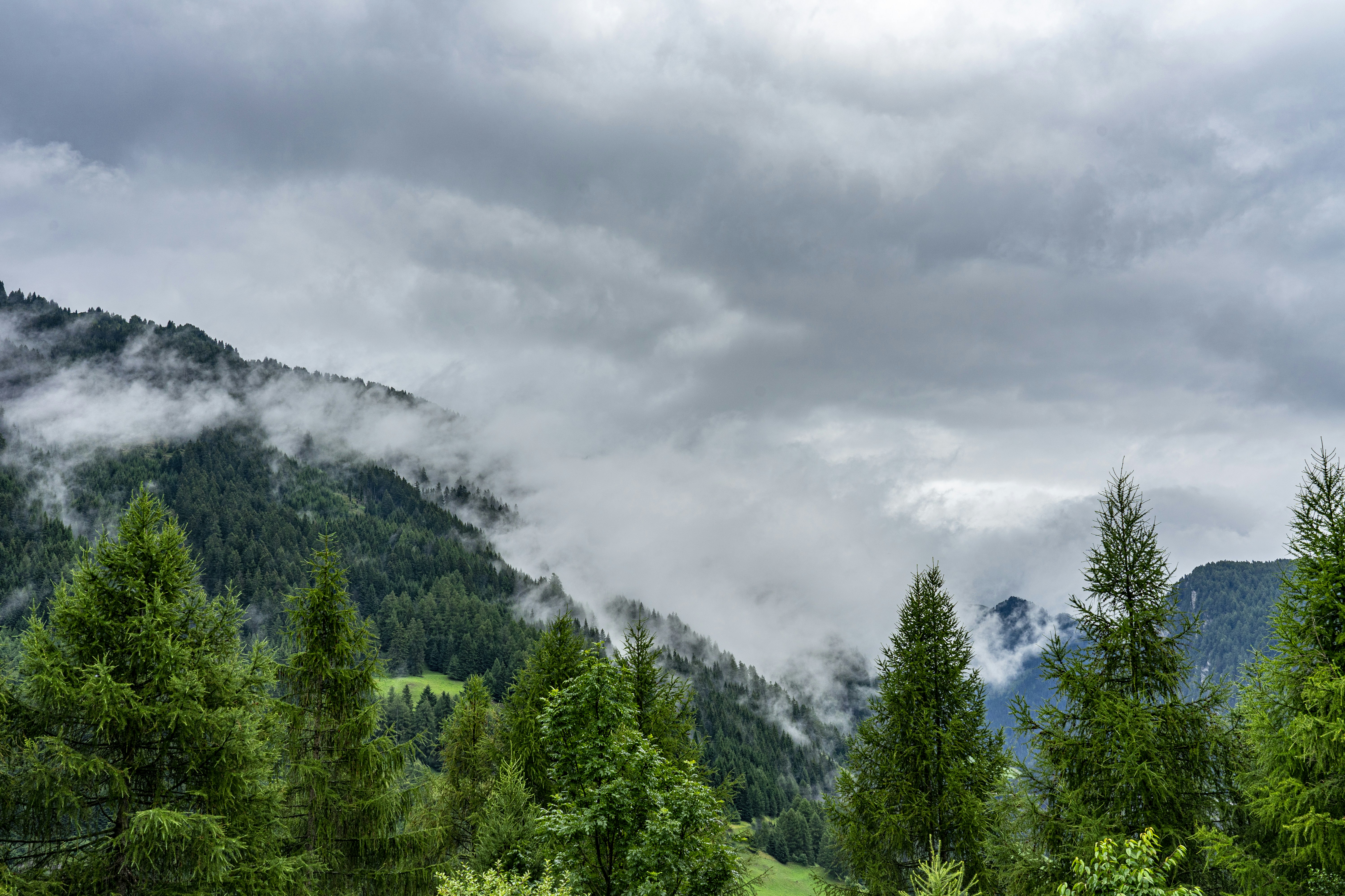 Photo by nilsschirmer