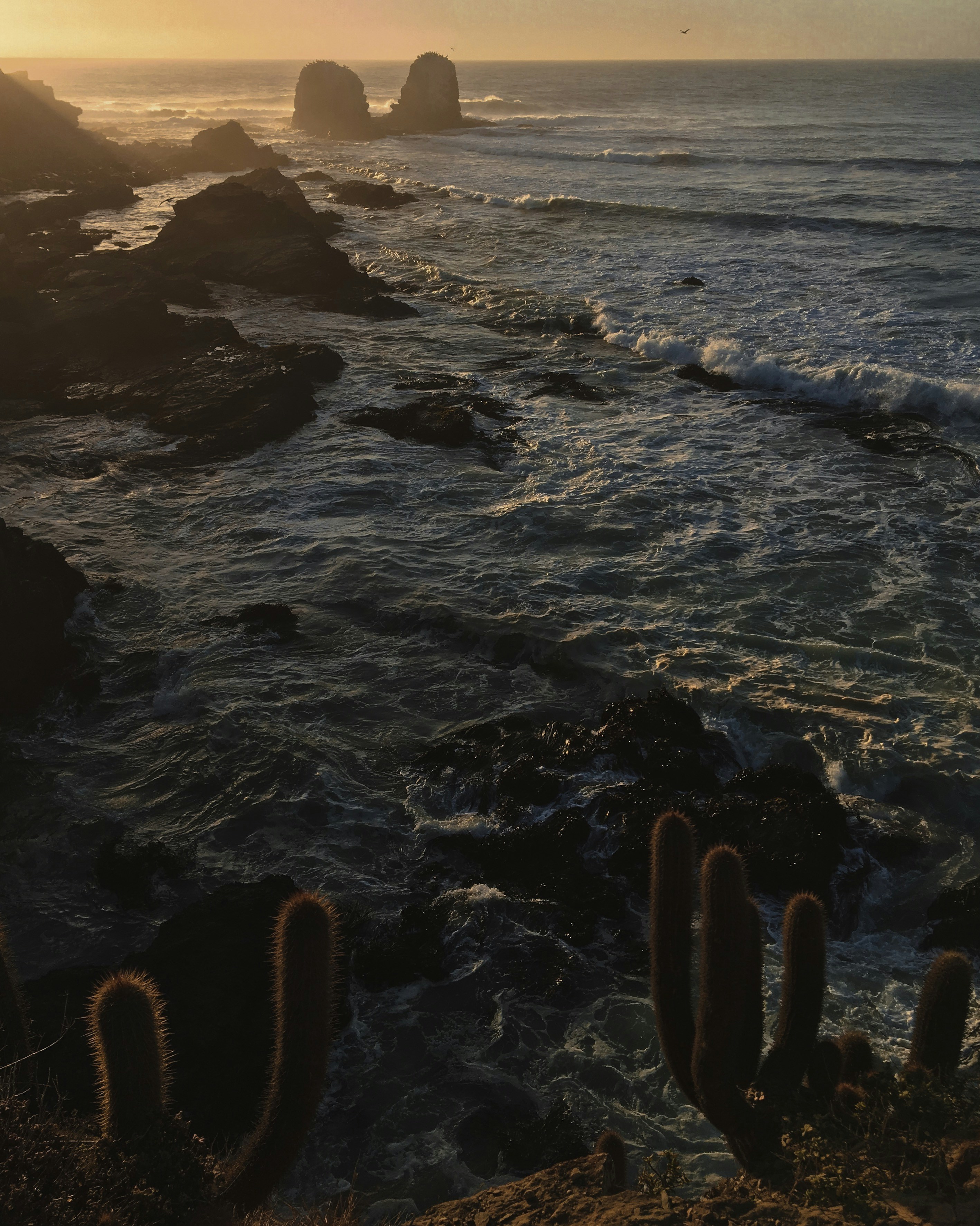 landscape photo of ocean