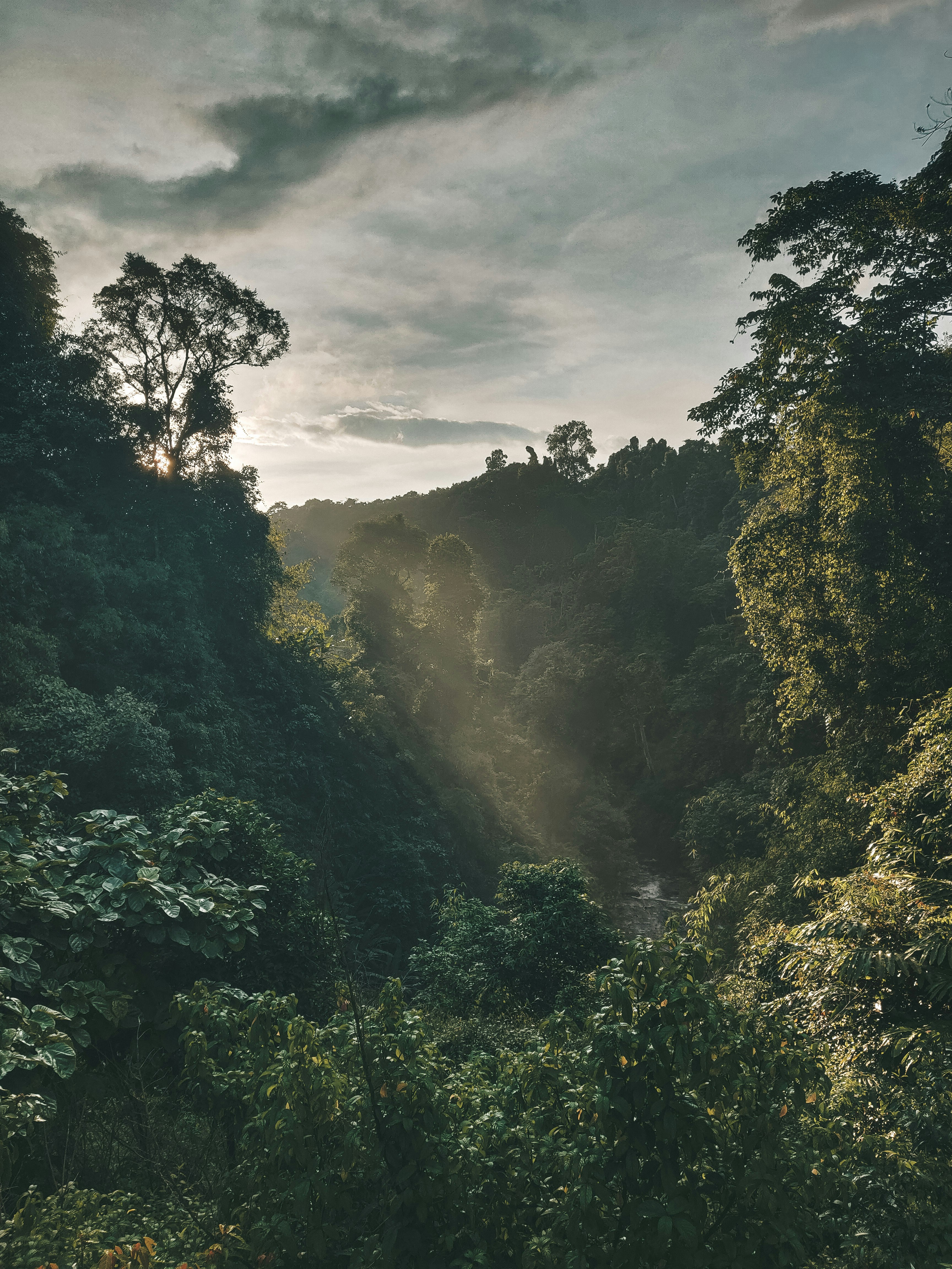 Photo by helloiamtuan