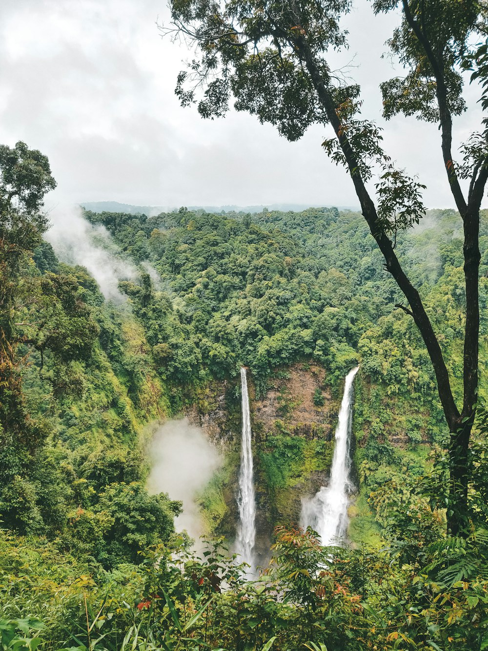 waterfalls surrounded by green trees at daytime