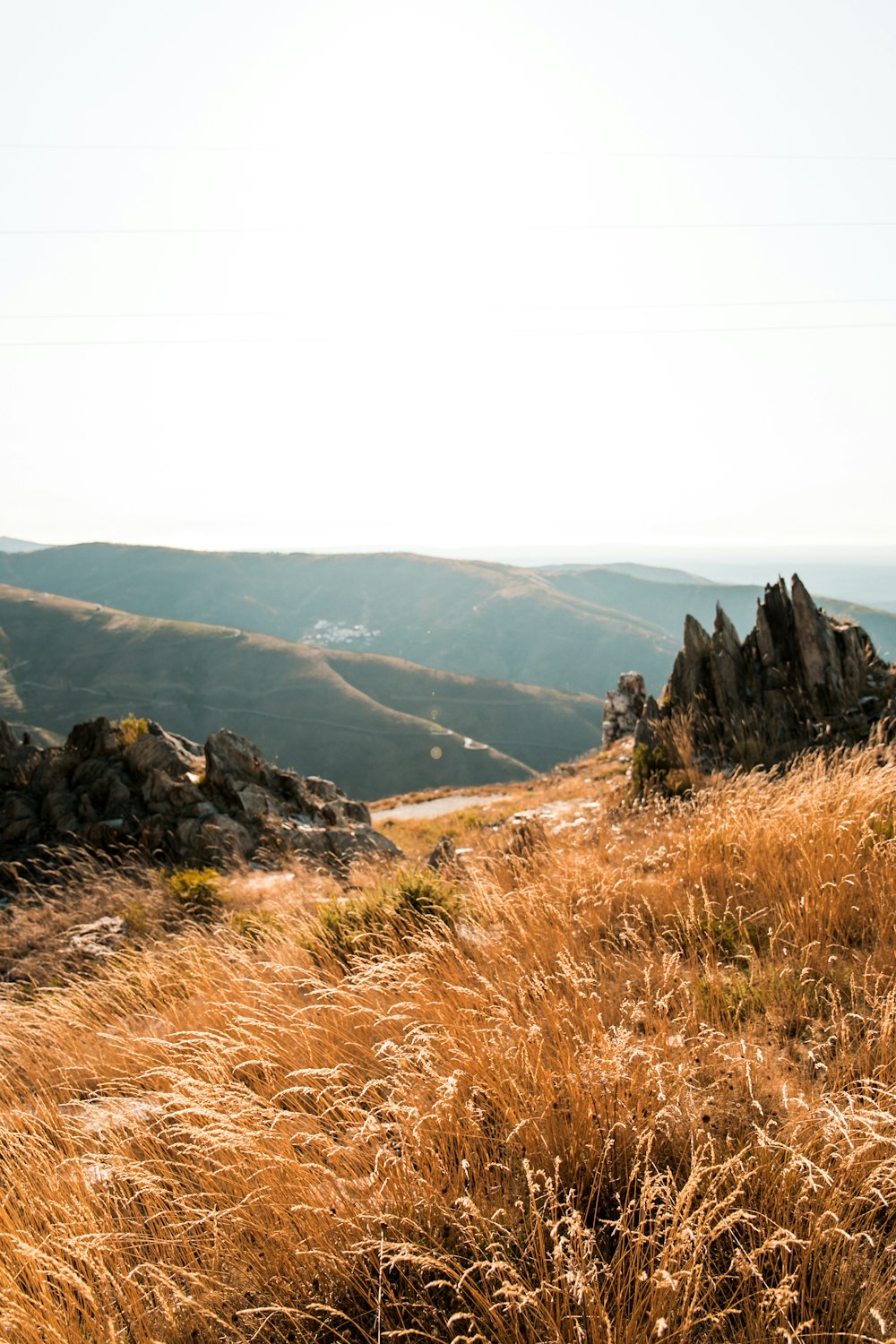 brown fields during daytime