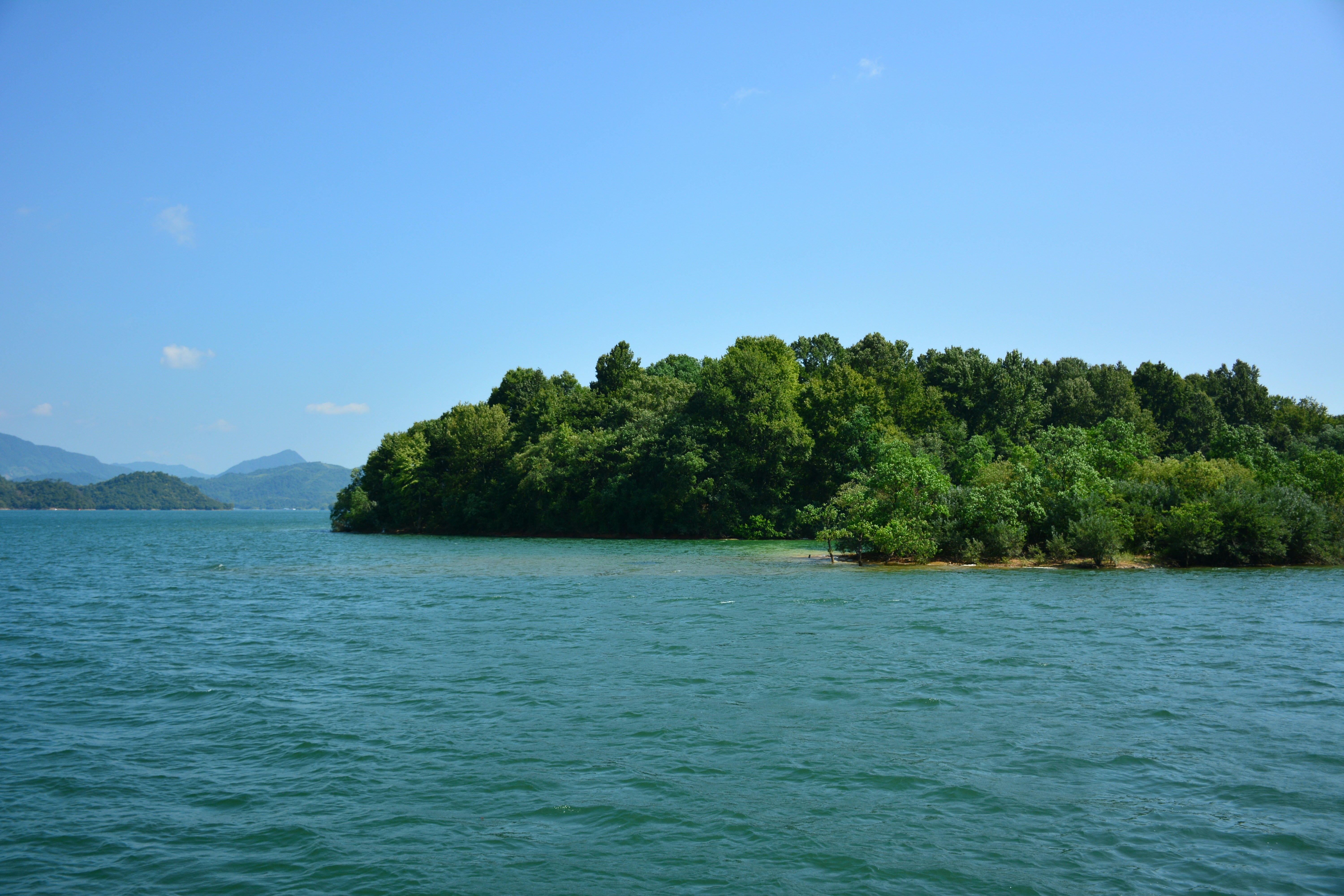 Photo by stephanie_tm