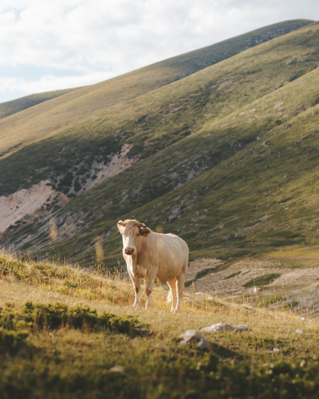 Hill photo spot Unnamed Road Gran Sasso