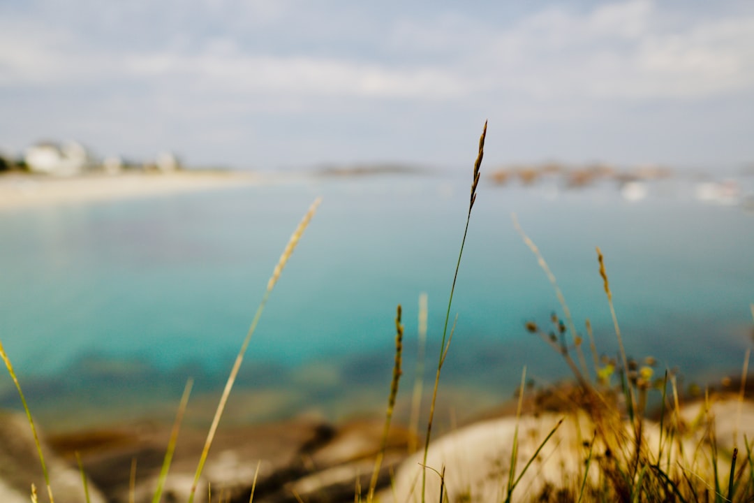 grass field near body of water