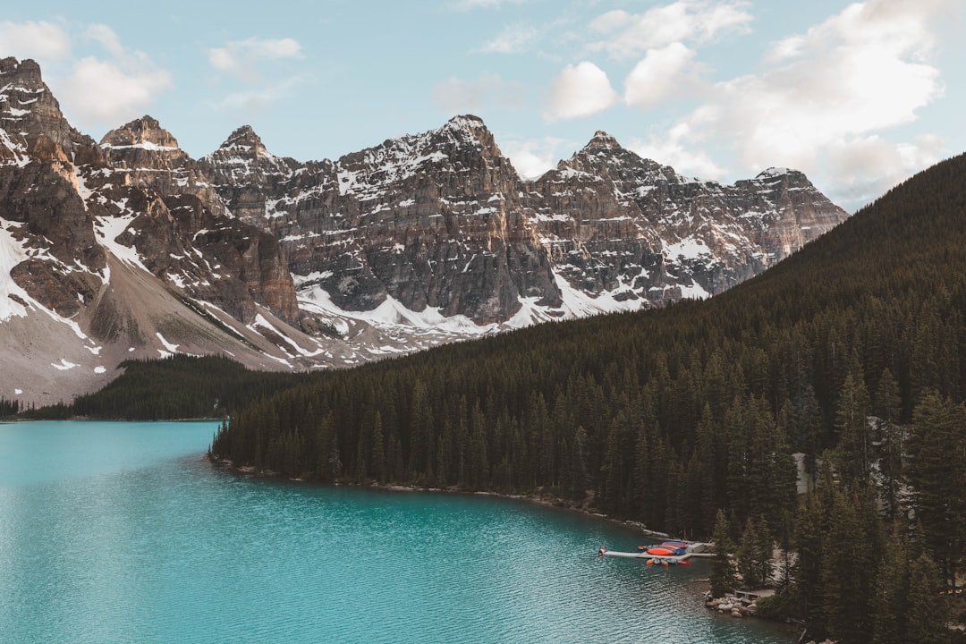 green trees beside body of water and rocky mountain during daytime