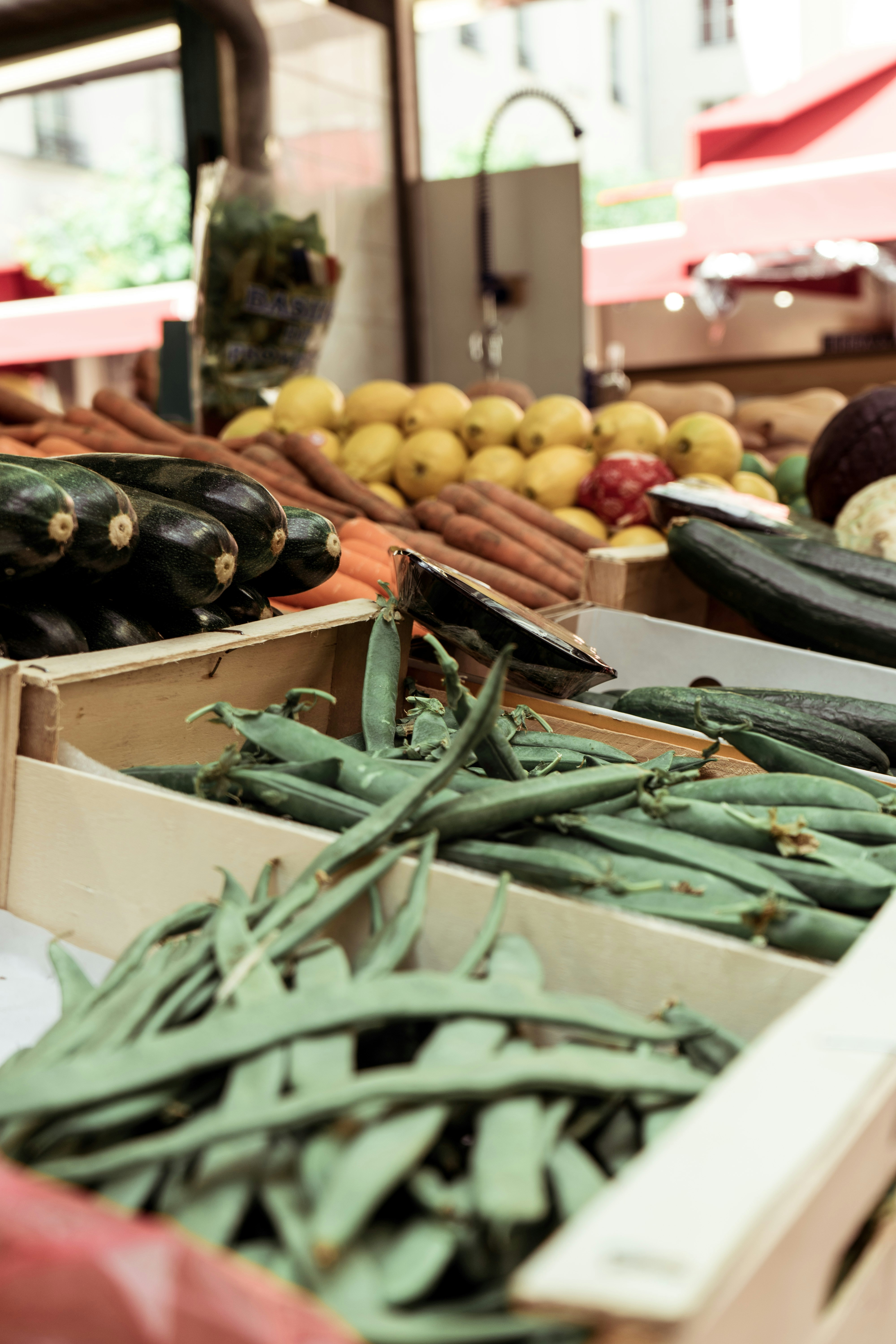 Photo by virussinside