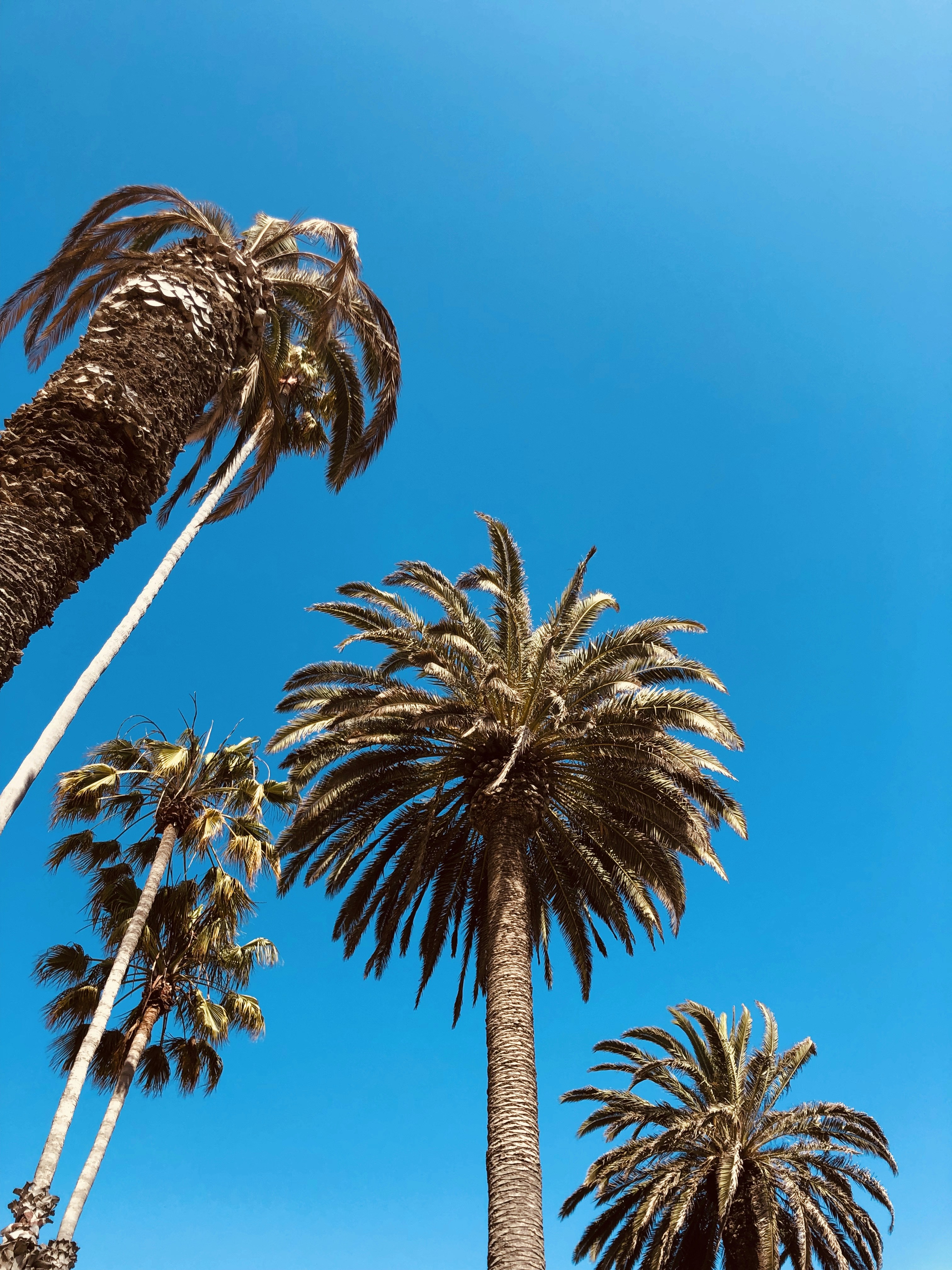 Photo by lost_in_thought