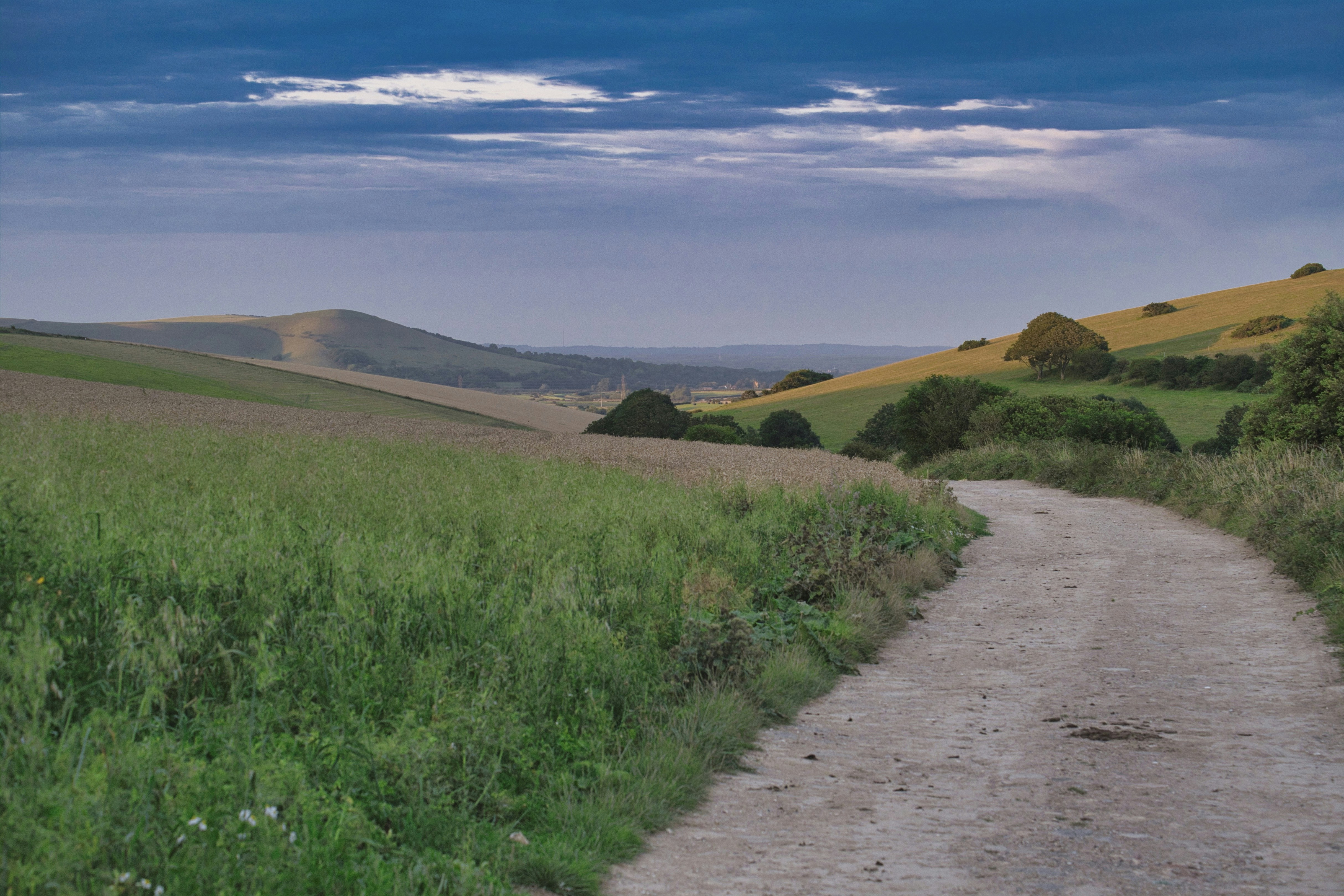 Photo by bullfishfighter