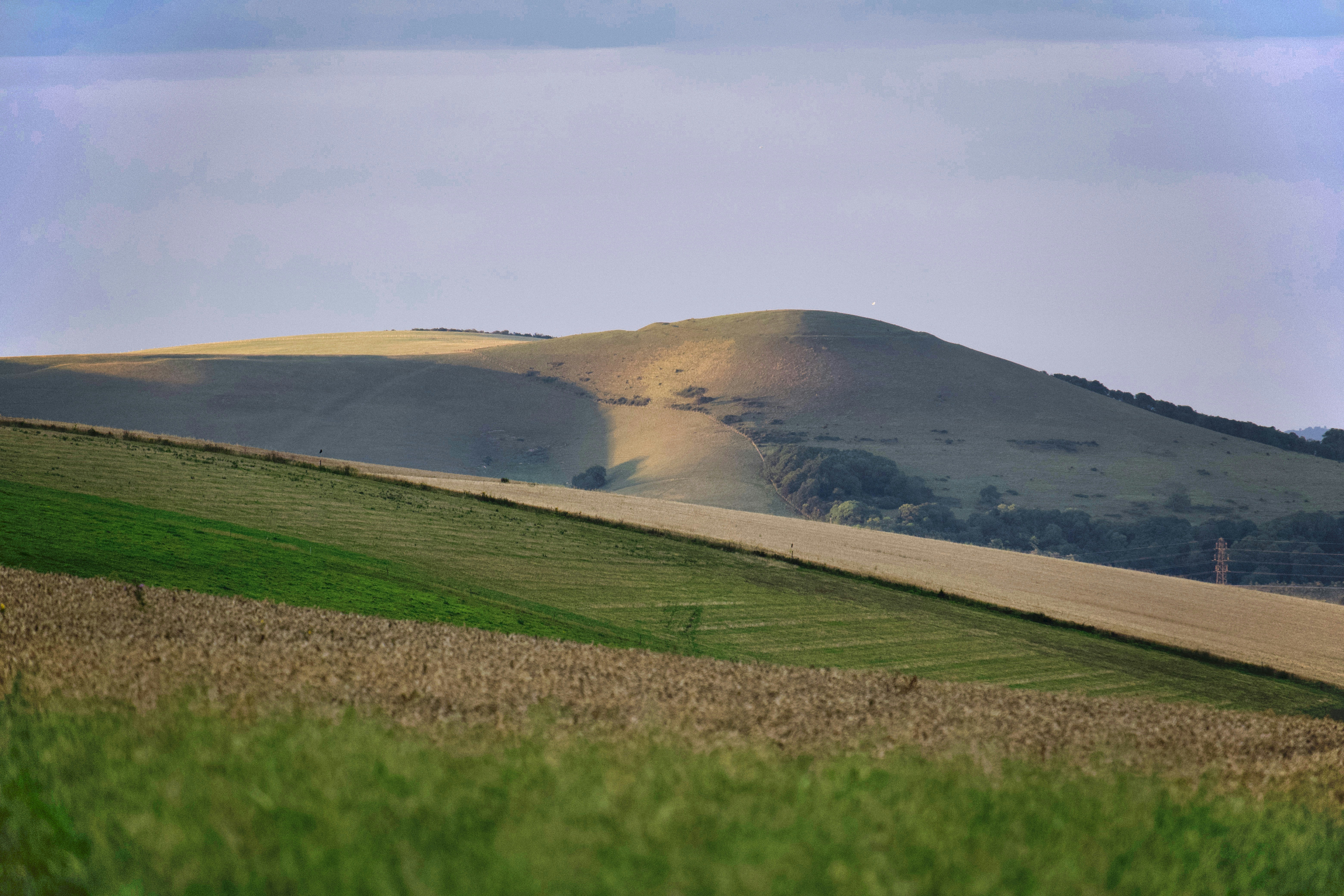 Photo by bullfishfighter