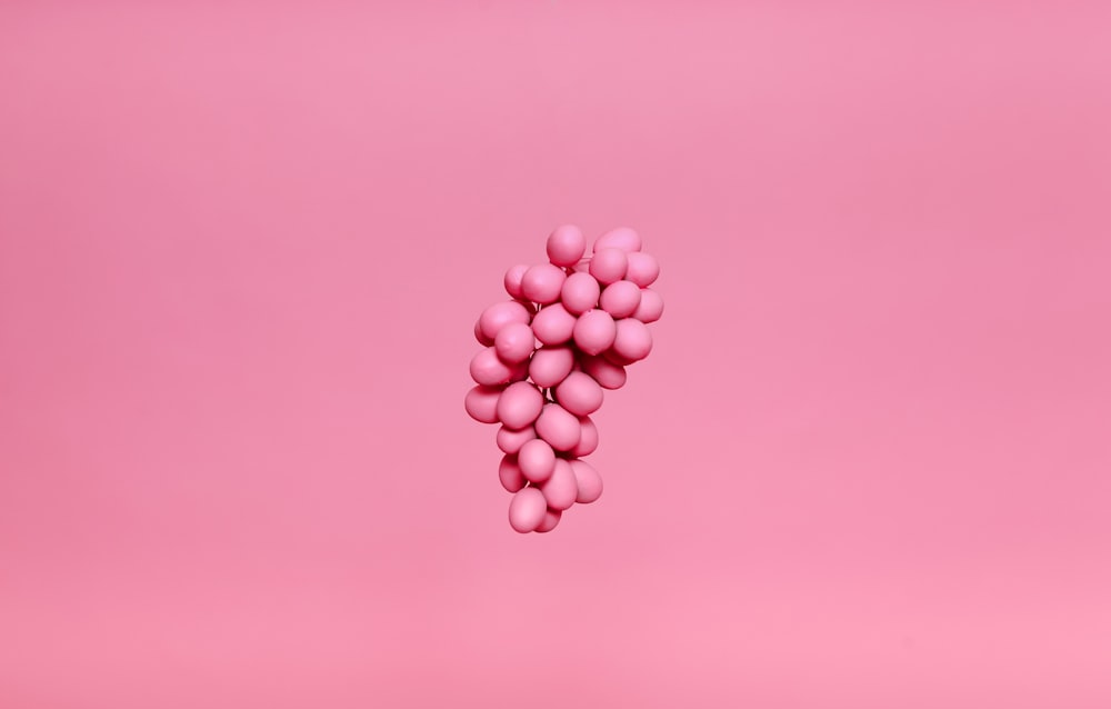 frutas cor-de-rosa