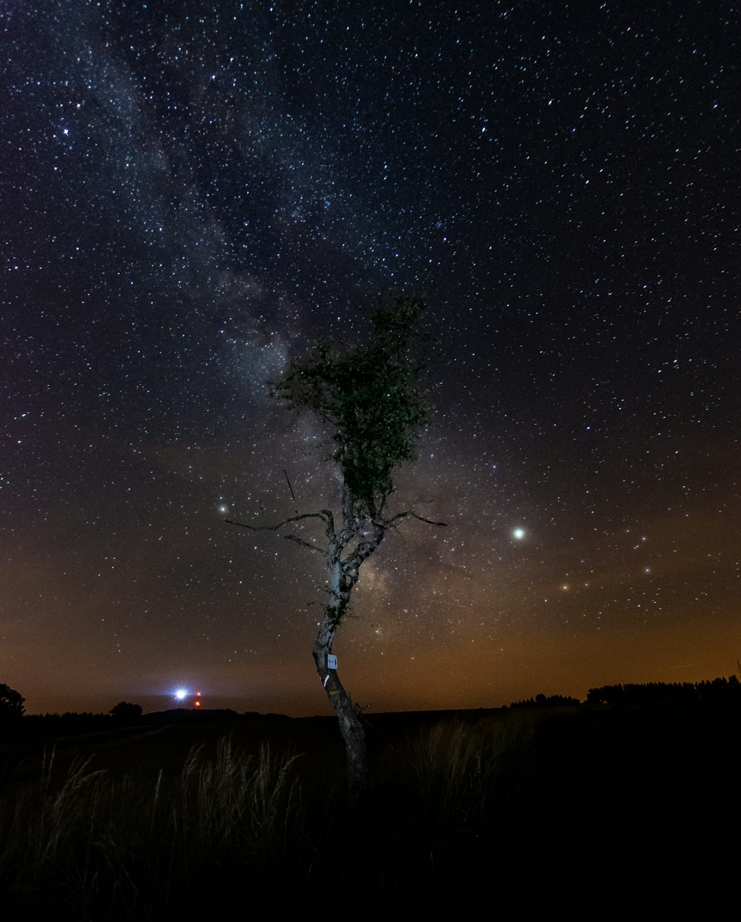 milky way at night