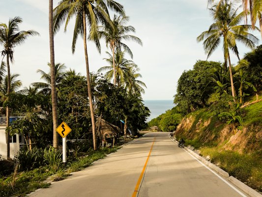 Road near tree during daytime — Koh Tao, Thailand