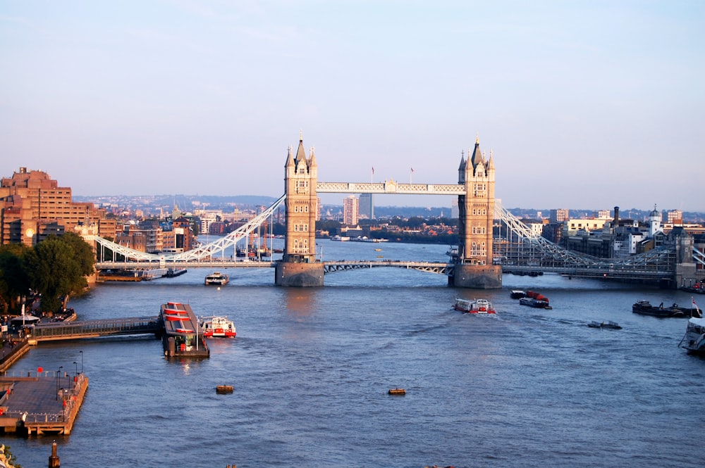 suspension bridge during daytime