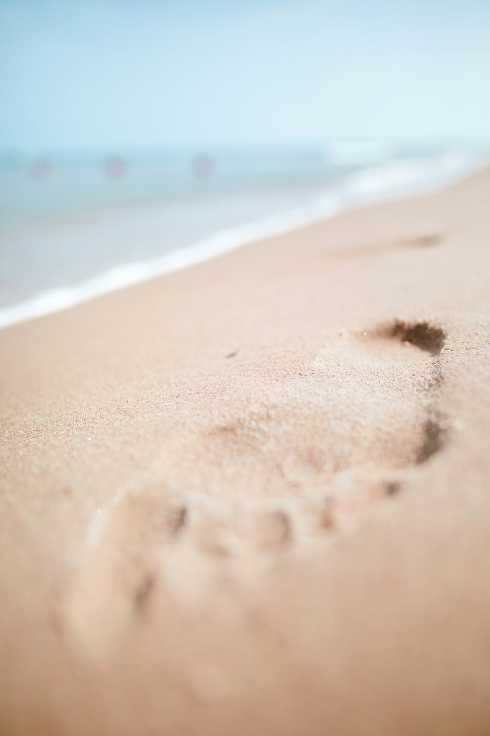 brown sand beach