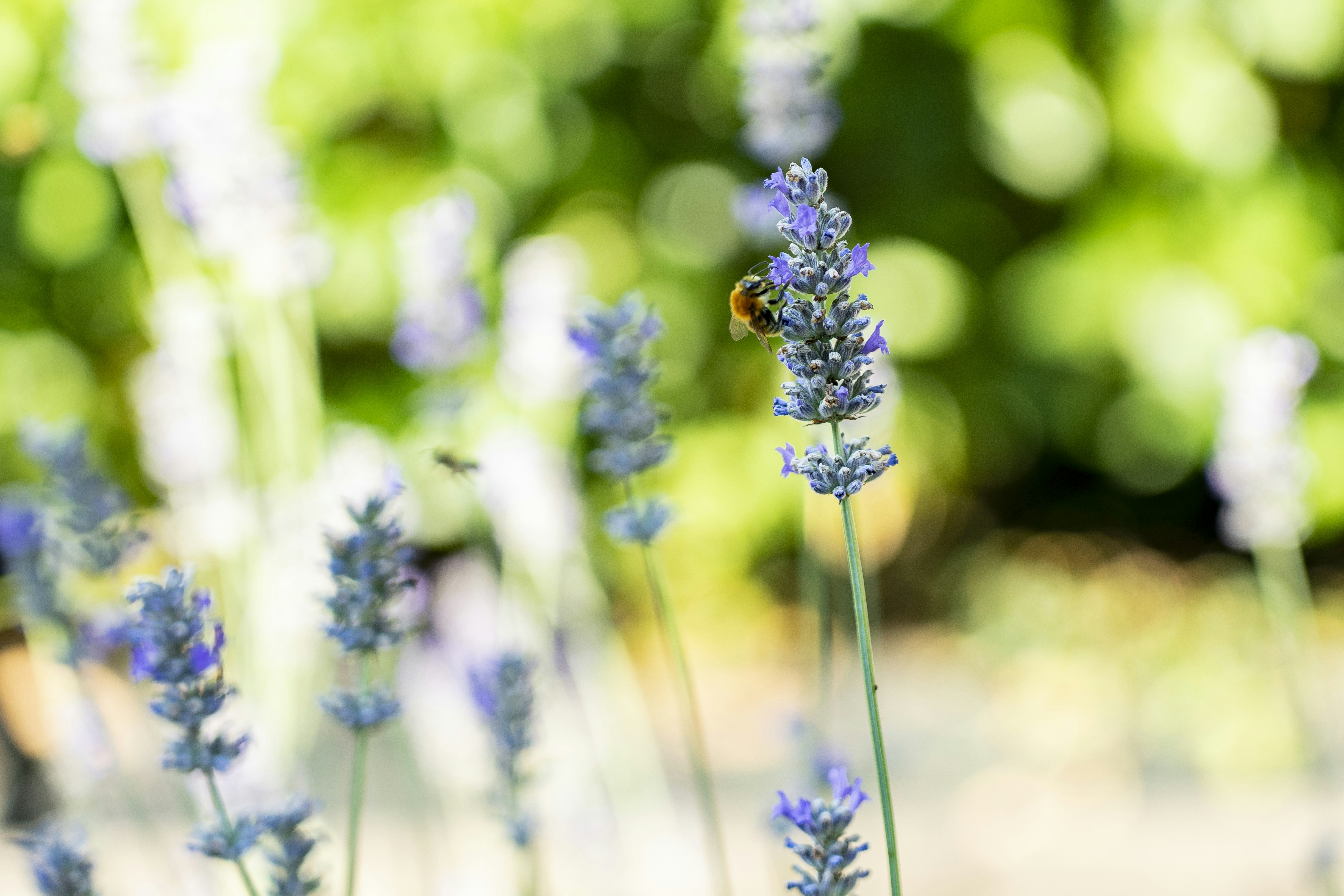 Photo by nilsschirmer