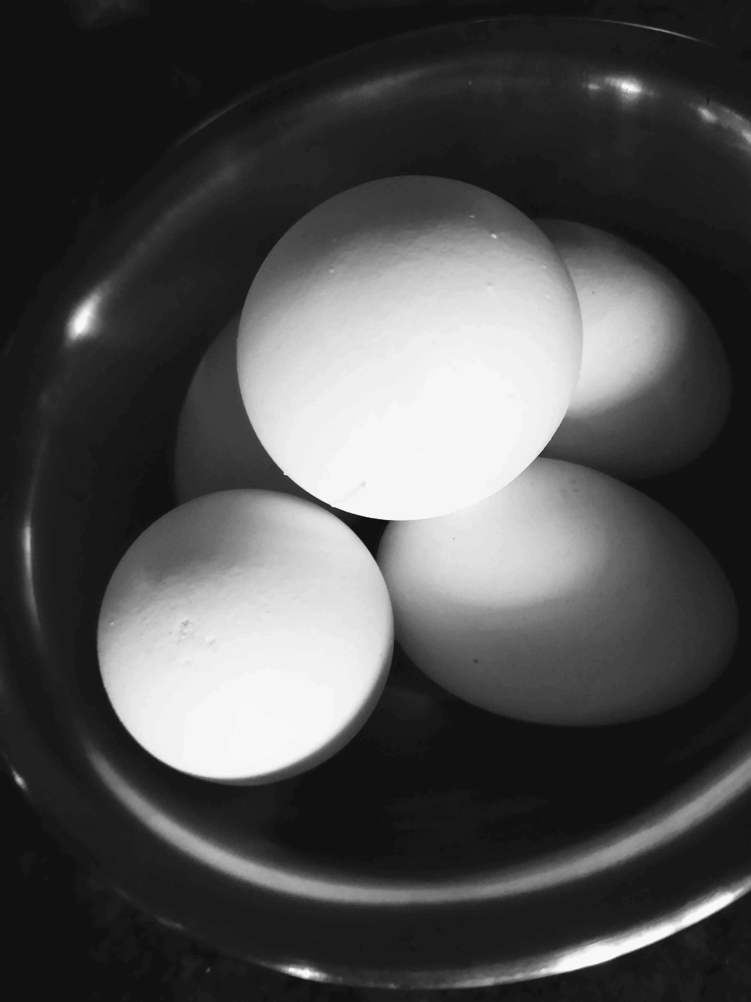 Photo by jaikarpothula007