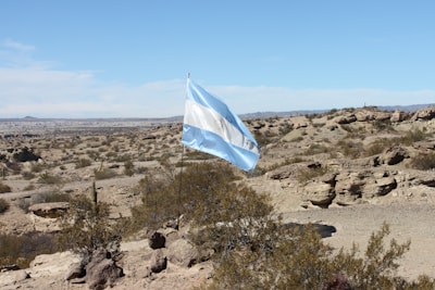A flag featuring blue and white horizontal stripes is waving prominently in a vast, arid landscape. The terrain is rocky with sparse vegetation and cacti scattered throughout the scene. The sky is clear with a few clouds visible in the distance.