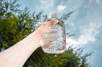 A hand is holding up a clear plastic container filled with water against a backdrop of a partly cloudy blue sky and green tree foliage.