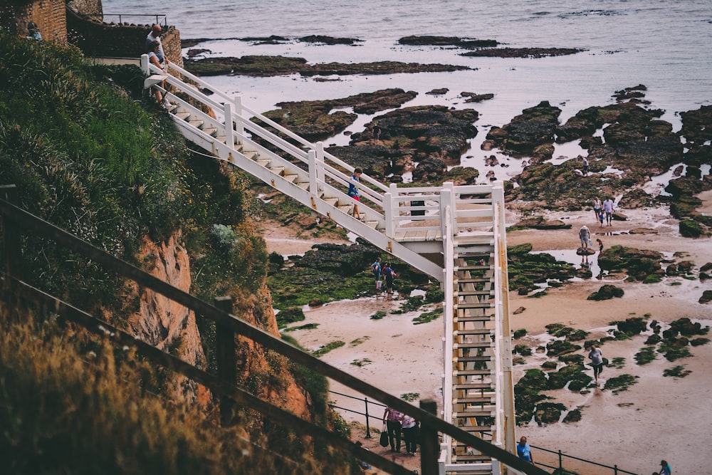 person standing on wooden stair