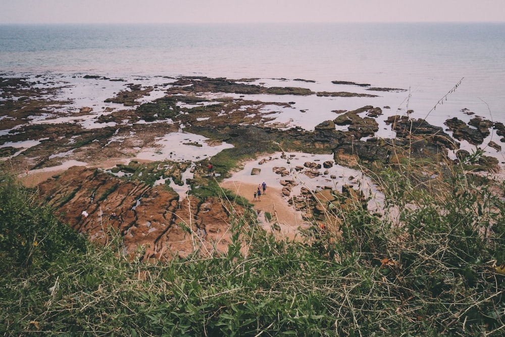 흰 하늘 아래 해변