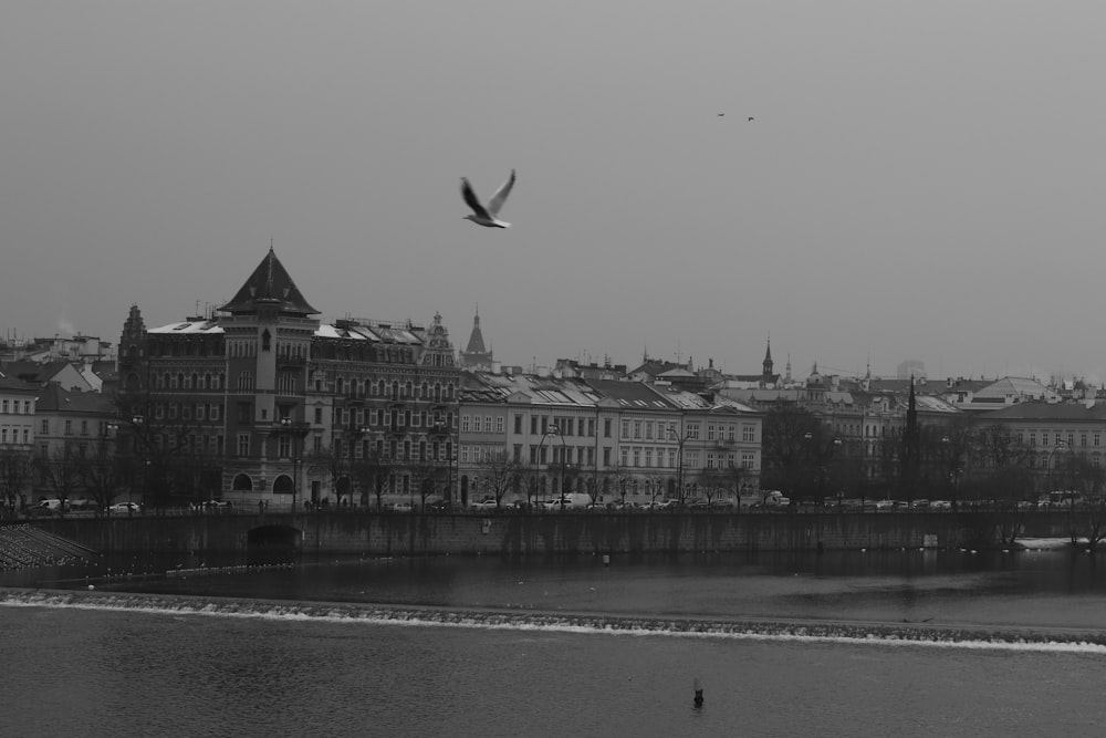 building lot near body of water grey-scale photography