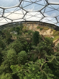 A large geodesic dome structure covers a lush, tropical environment filled with various green plants and trees. The dense foliage is visible beneath the transparent panels of the dome, which is supported by a metal framework. Pathways can be seen weaving through the vegetation.