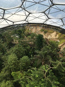 Scientists working inside a climate-controlled dome laboratory surrounded by greenery.