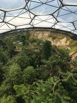 A large geodesic dome structure covers a lush, tropical environment filled with various green plants and trees. The dense foliage is visible beneath the transparent panels of the dome, which is supported by a metal framework. Pathways can be seen weaving through the vegetation.