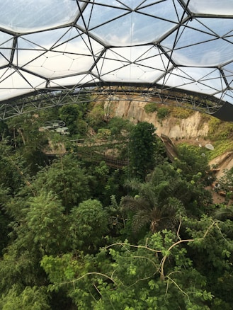 A large geodesic dome structure covers a lush, tropical environment filled with various green plants and trees. The dense foliage is visible beneath the transparent panels of the dome, which is supported by a metal framework. Pathways can be seen weaving through the vegetation.