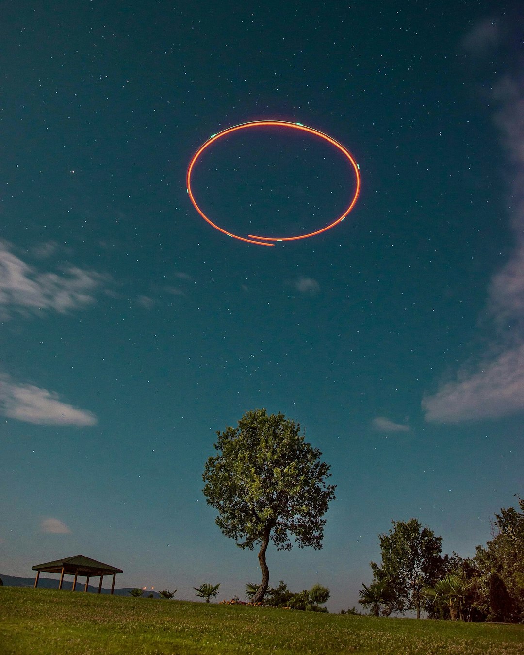 Long exposure of a drone circling on top of a tree in my backyard 