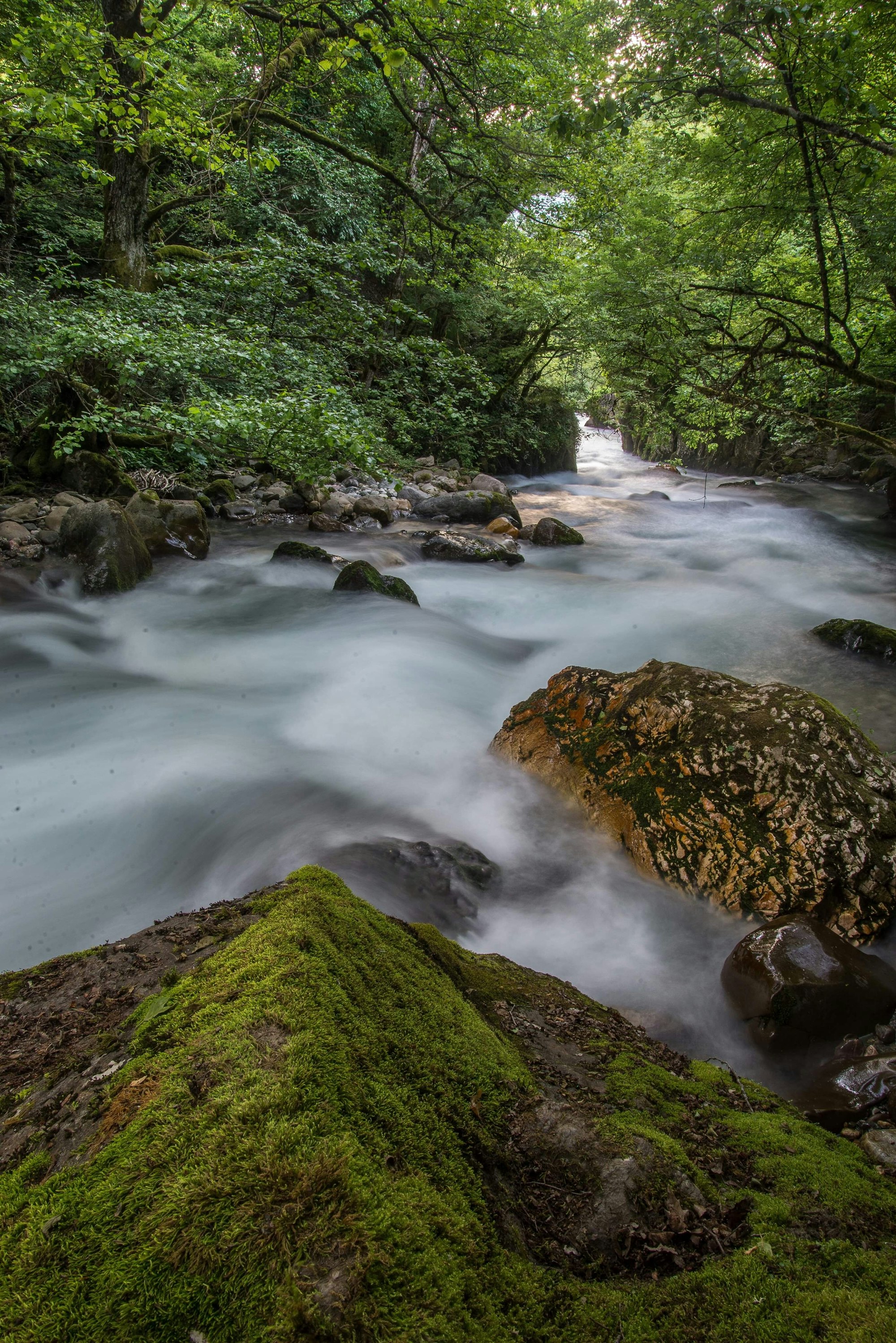 time-lapse photography of river near trees