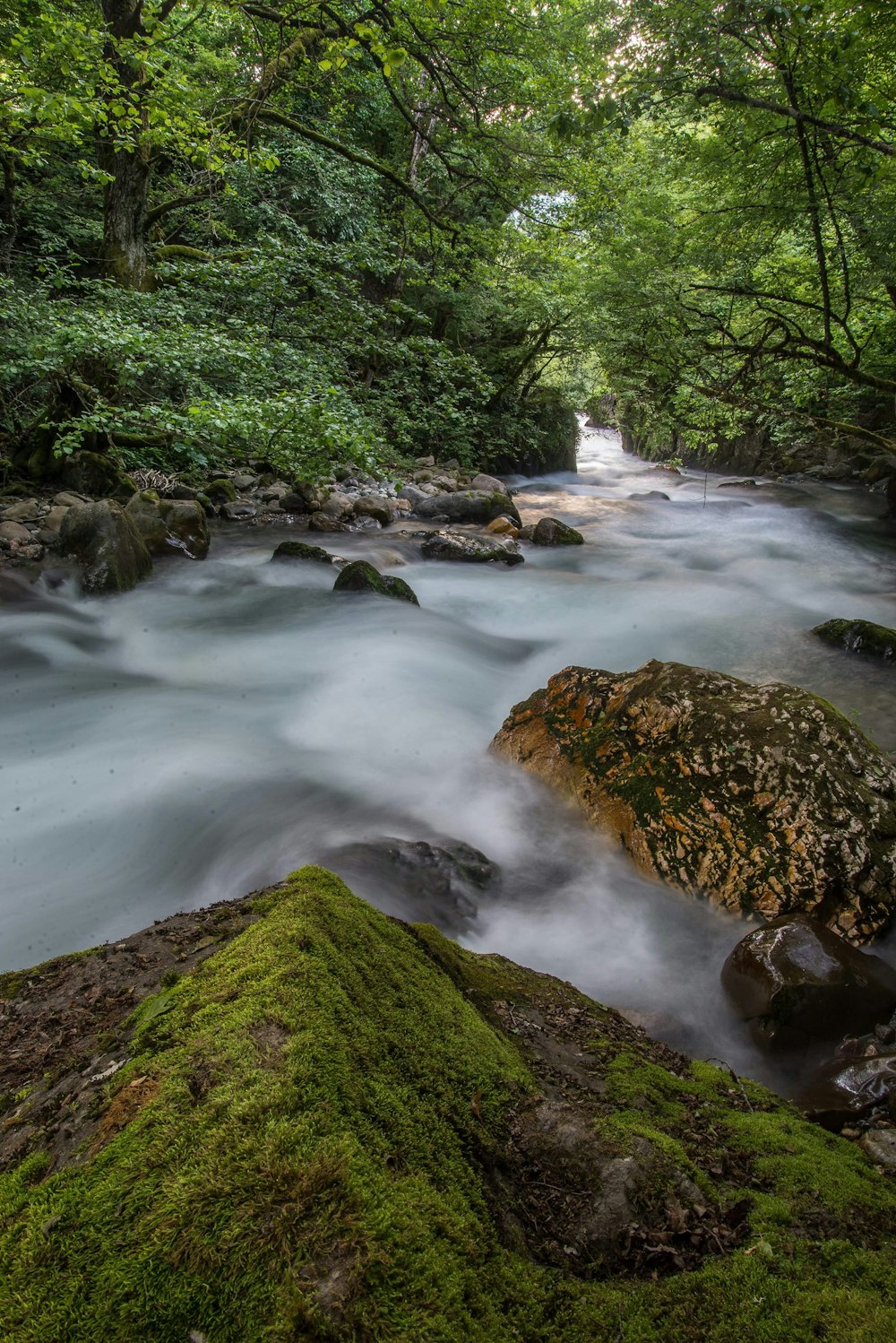 time-lapse photography of river near trees