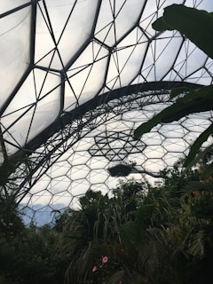 A large geodesic dome structure made of metal and translucent panels arches overhead. Inside, various tropical plants and trees thrive, suggesting a greenhouse environment. The intricate metal framework contrasts with the lush greenery below.