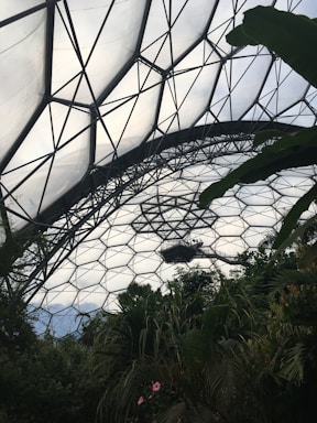 A large geodesic dome structure made of metal and translucent panels arches overhead. Inside, various tropical plants and trees thrive, suggesting a greenhouse environment. The intricate metal framework contrasts with the lush greenery below.