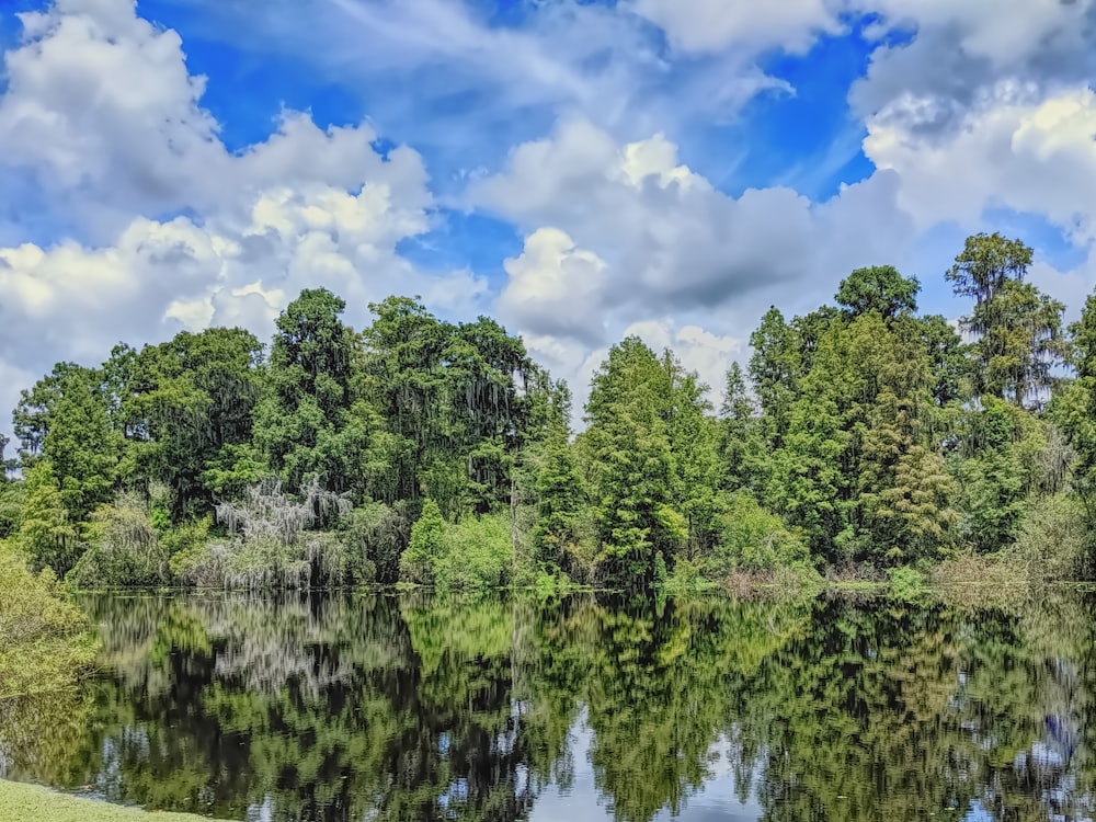 green trees