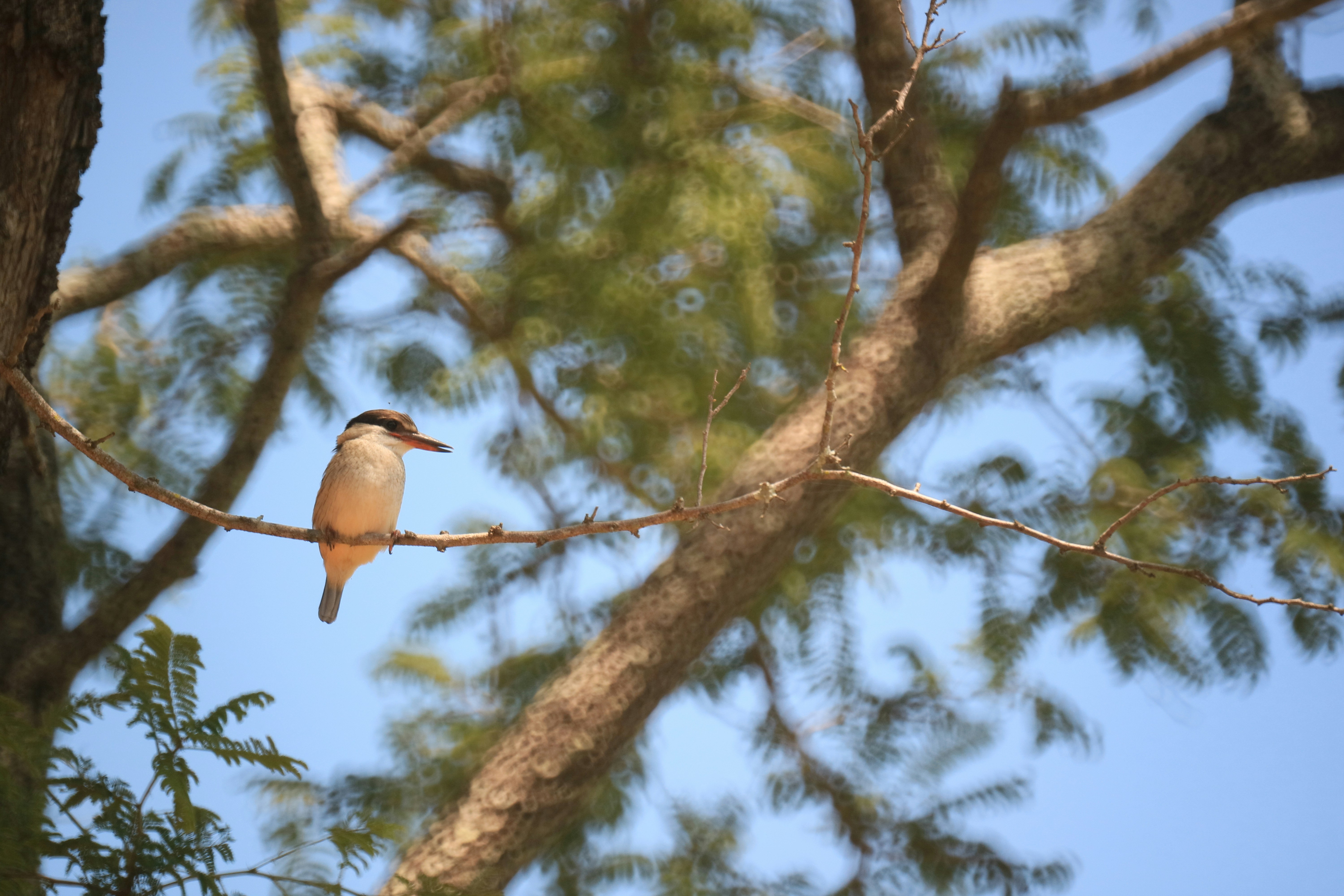 Photo by pjvanderboog