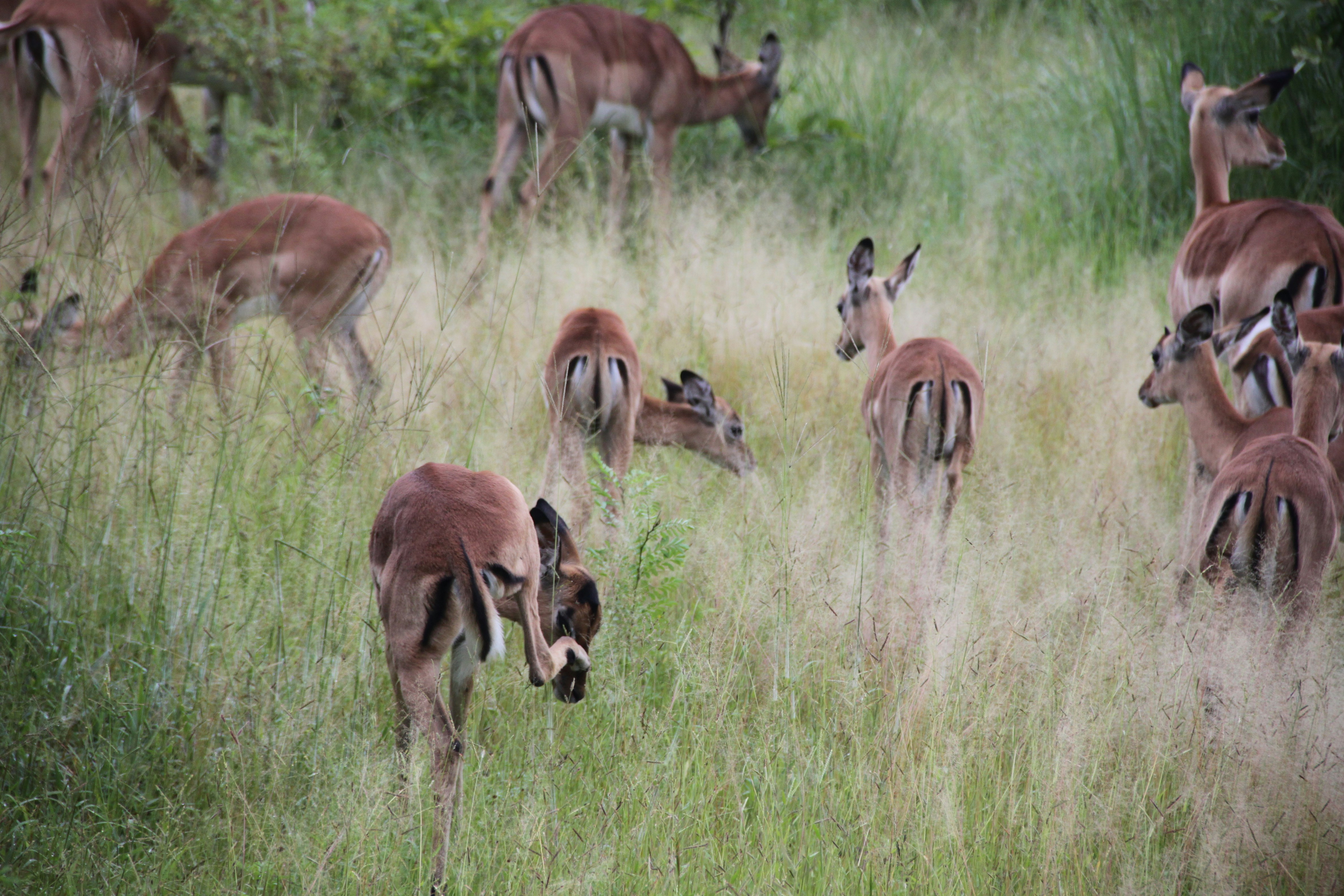 Photo by pjvanderboog