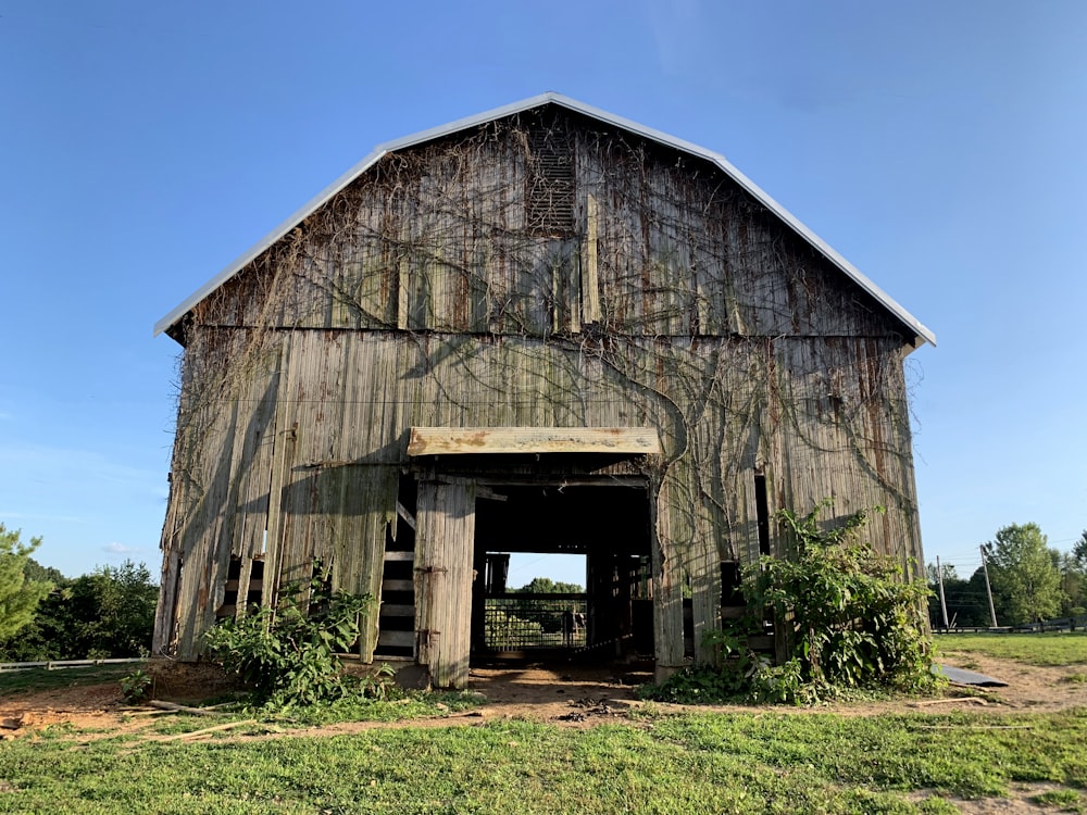 a barn with vines growing on the side of it