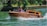 A wooden motorboat is gliding through a body of water, causing small waves and splashes. The boat is marked with 'River Limousine.com' on its side. Two people are seated at the front under a clear sky, enjoying the ride. The backdrop includes lush green trees and a wooden retaining wall lining the water's edge.