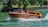 A wooden motorboat is gliding through a body of water, causing small waves and splashes. The boat is marked with 'River Limousine.com' on its side. Two people are seated at the front under a clear sky, enjoying the ride. The backdrop includes lush green trees and a wooden retaining wall lining the water's edge.