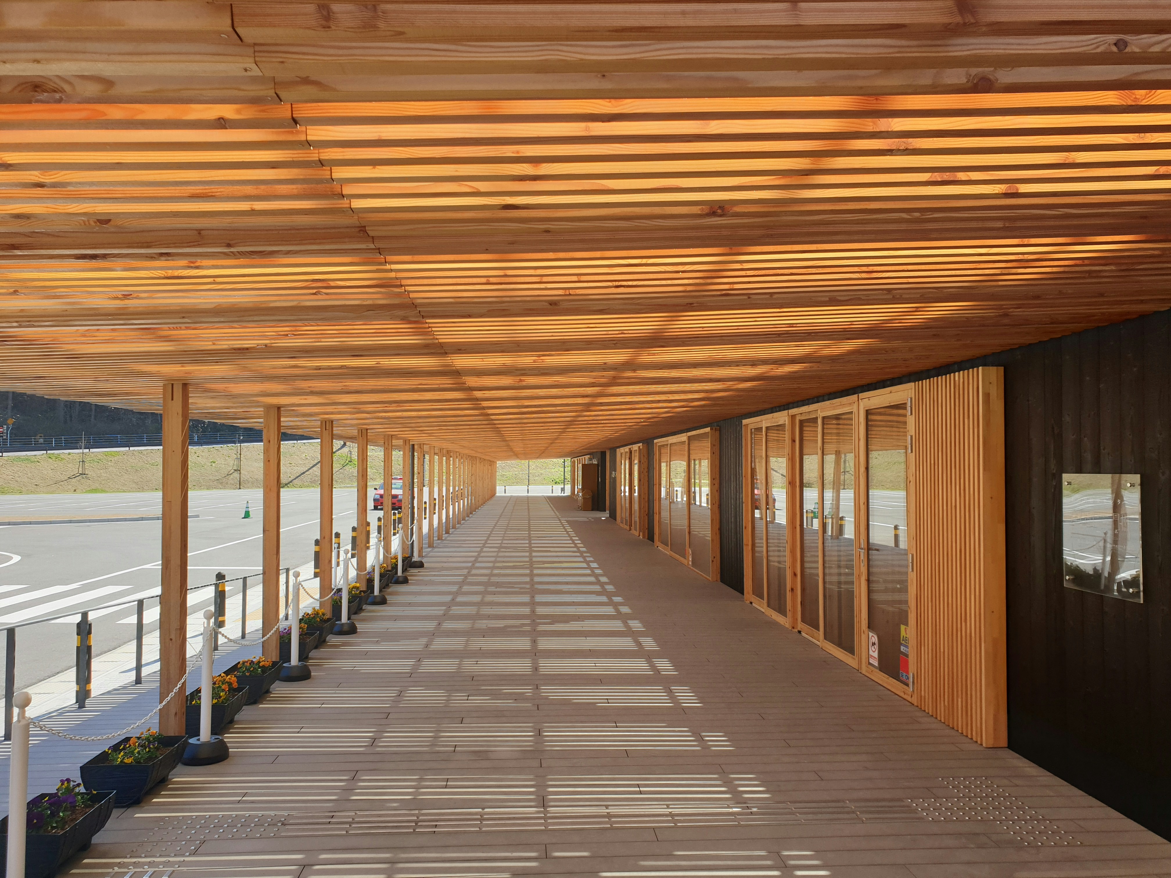 Photo by pomeloreign