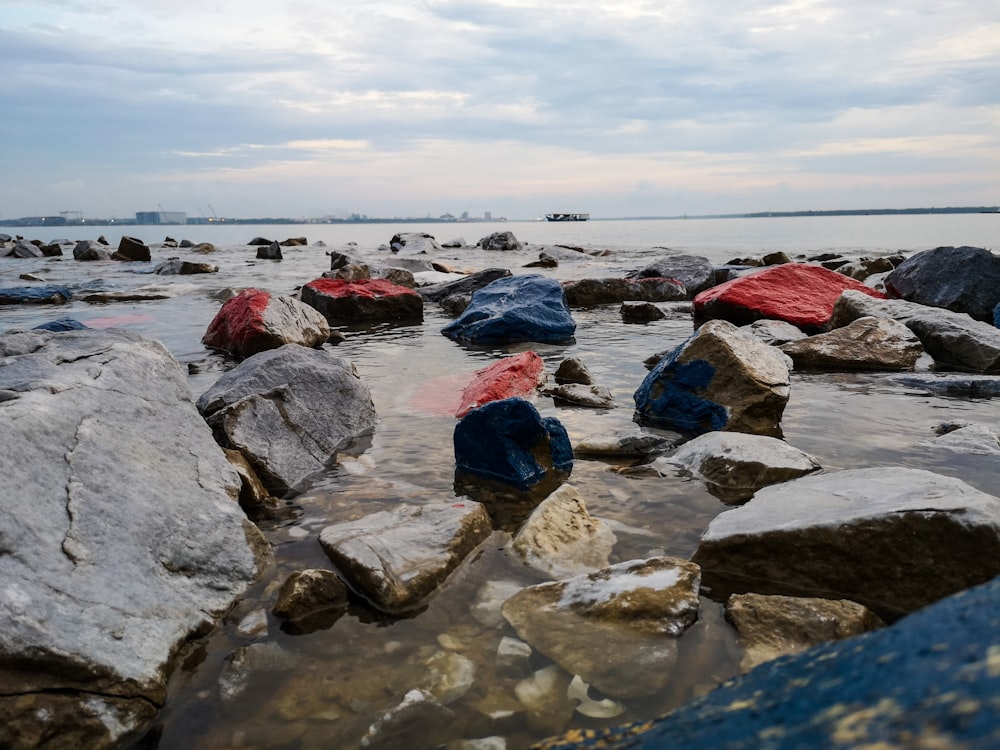 assorted-color stones on water