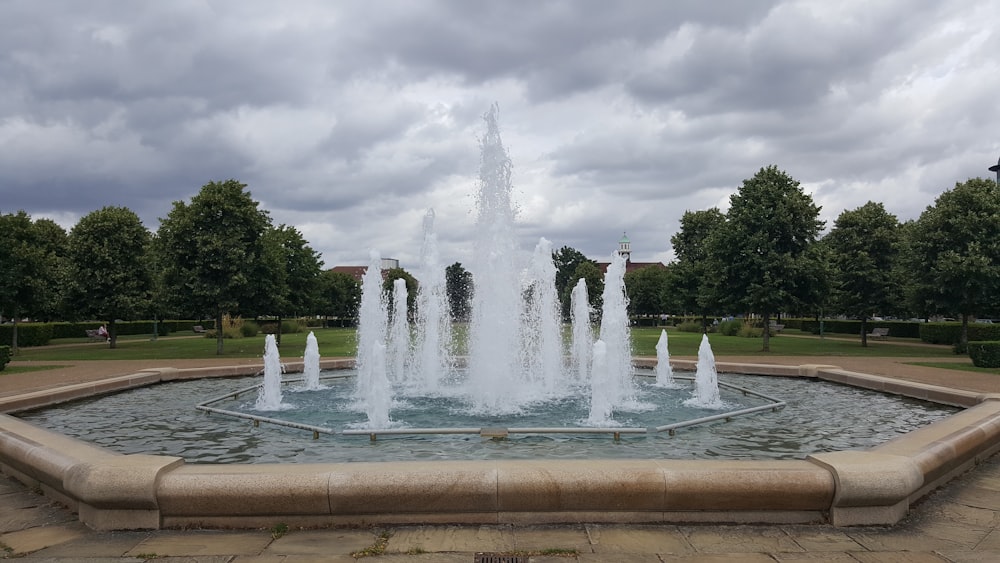 fountain near trees