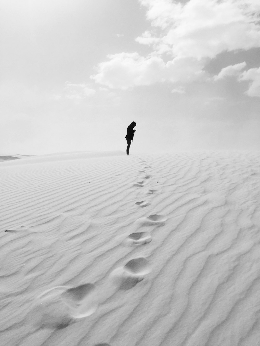 a lone bird flying over a sandy beach