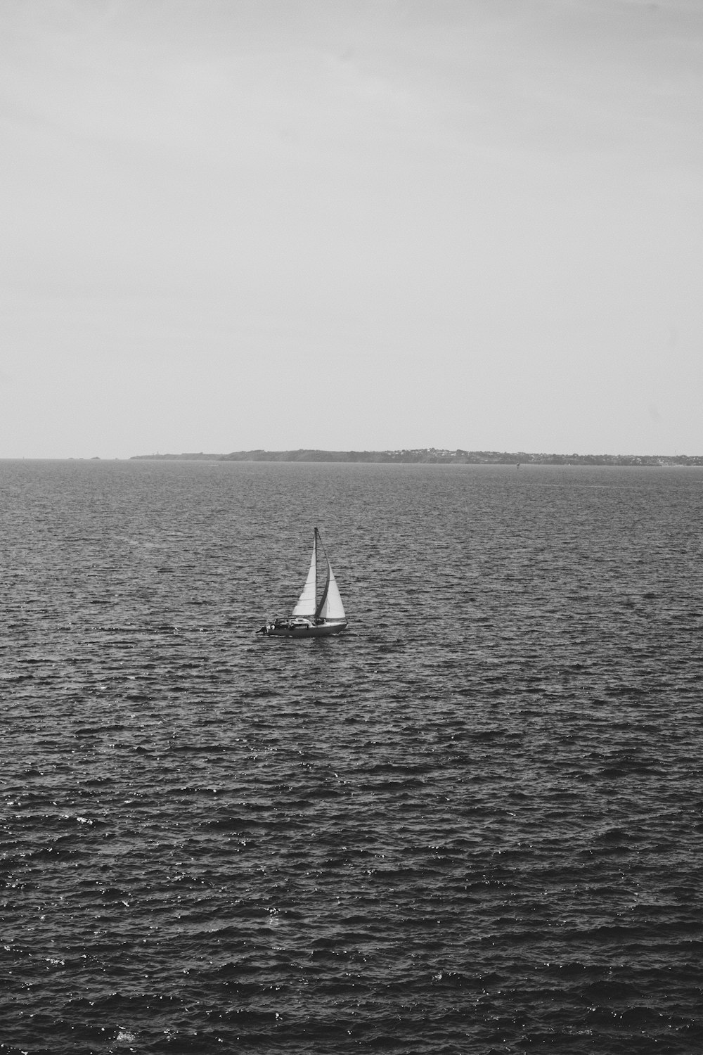 sailboat in sea