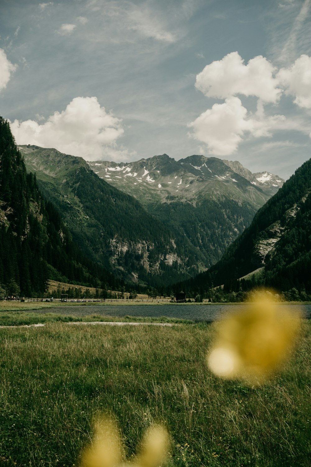 Lago vicino alla montagna