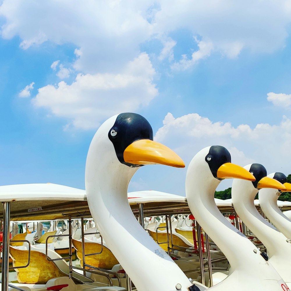 white-and-yellow swan cart lot