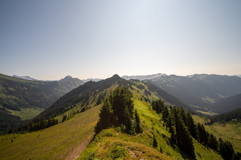 landscape photo of green mountains