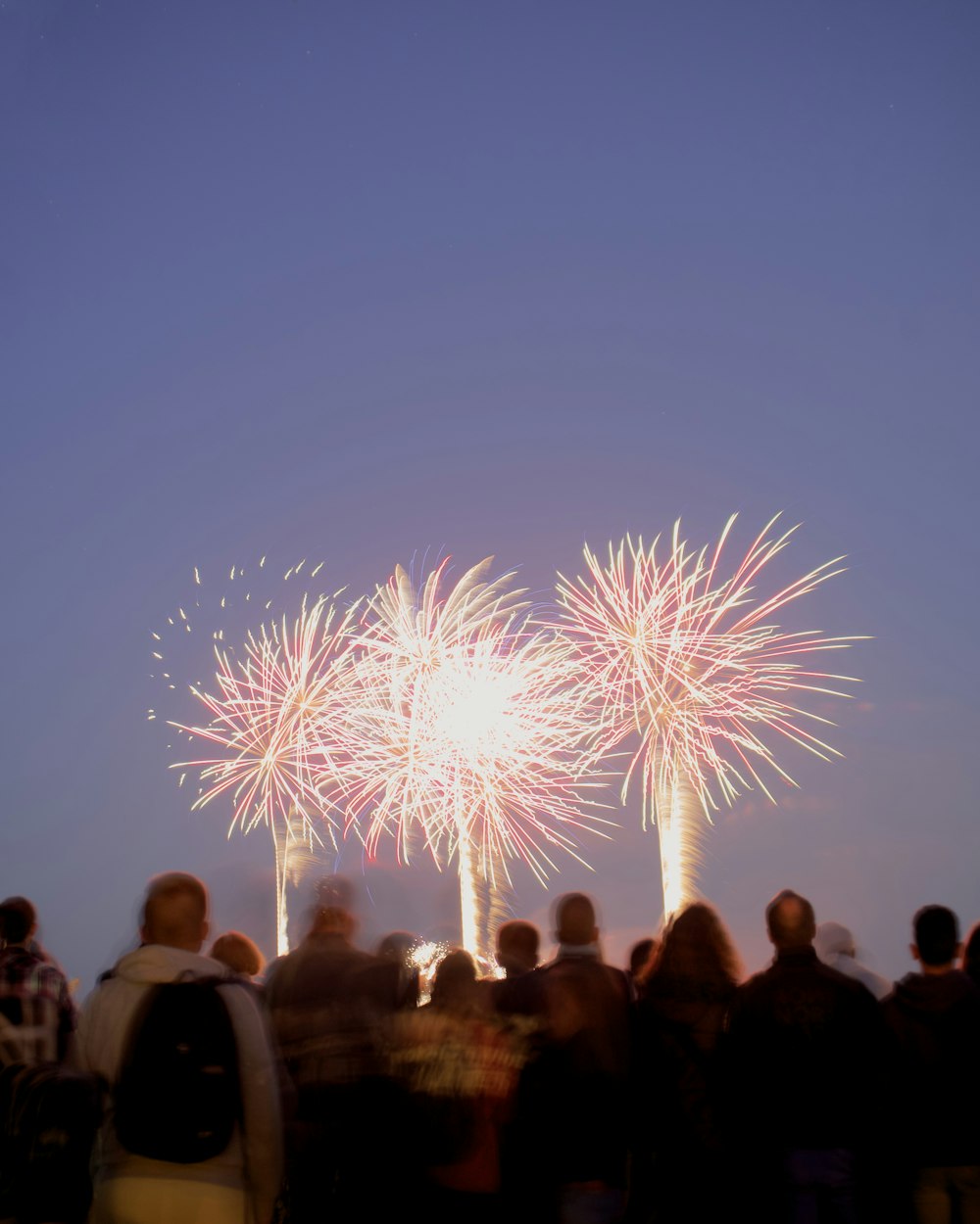 people watching fireworks display