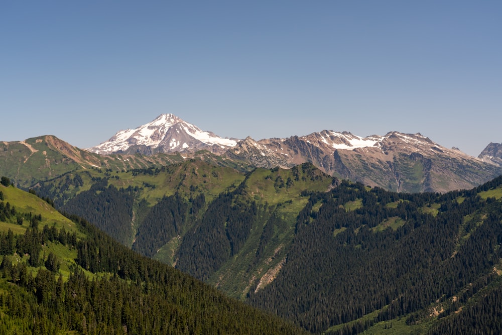 landscape photography of green mountain